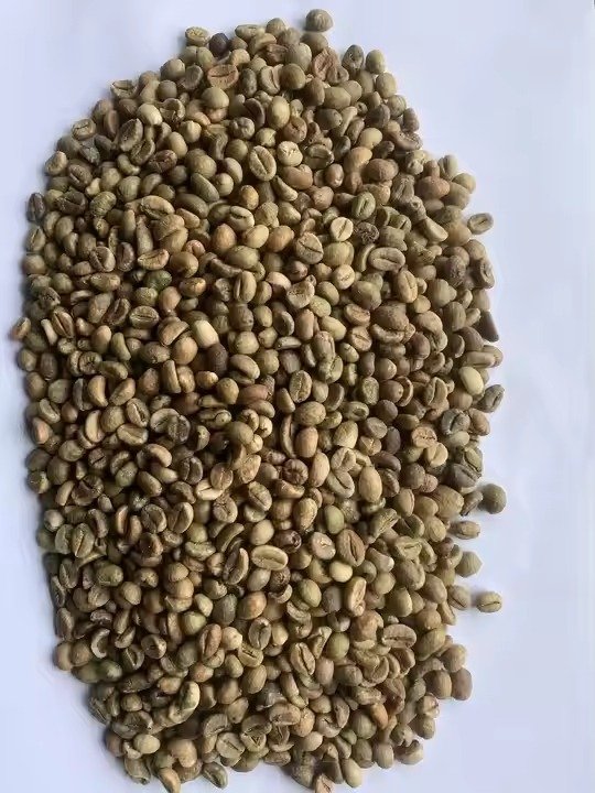 Robusta Coffee - Image 5