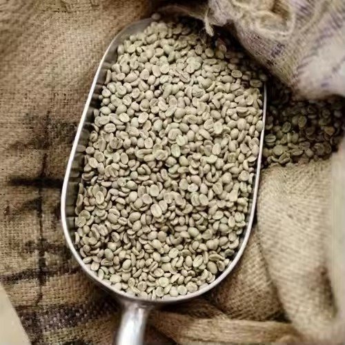 Robusta Coffee - Image 6