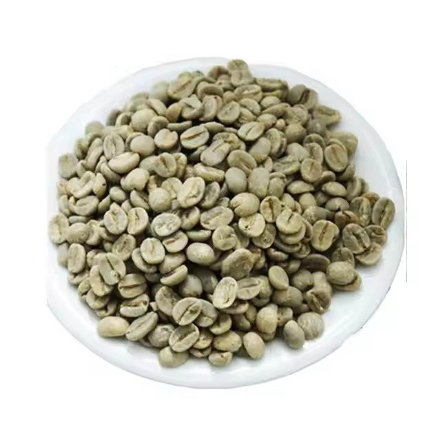 Robusta Coffee - Image 4