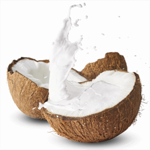 Coconut