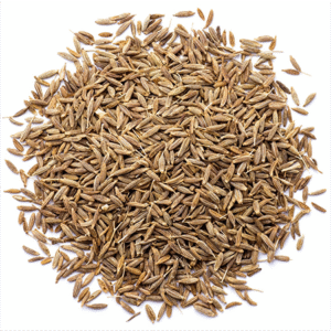 Fennel Seeds