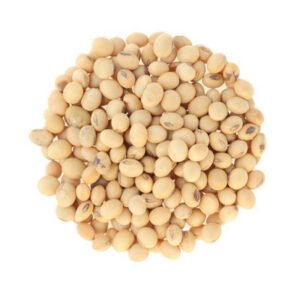 Organic Soybean