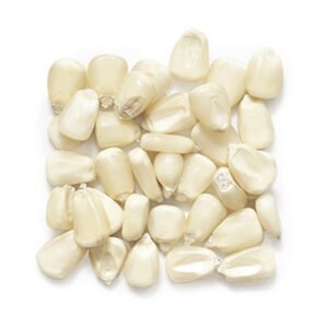 White Maize