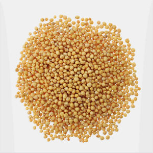 Yellow Mustard Seeds