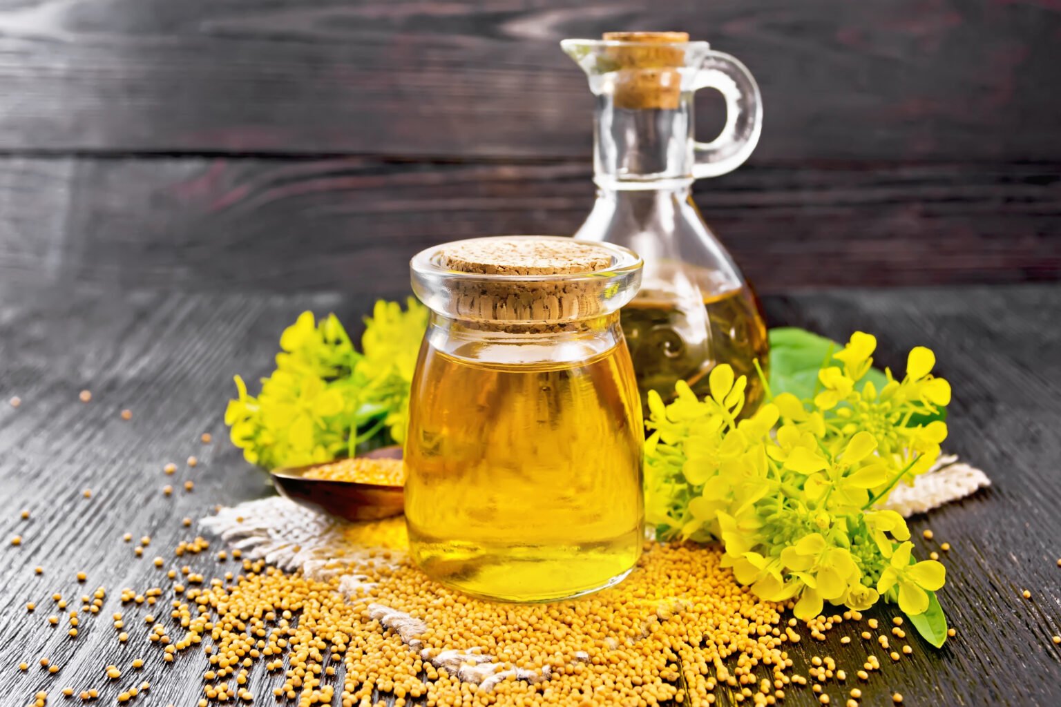 Buy Refined Canola/Rapeseed Oil Wholesale