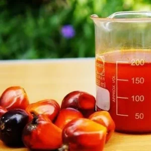 Crude Palm Oil
